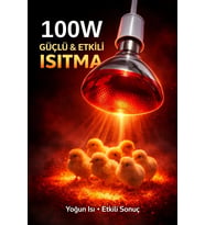 100W Isıtıcı Ampul Kırmızı Isı Lambası Civciv Kümes Kuluçka E27 Duy Isıtma Ampulü