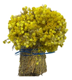 Altın Otu 1KG