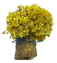 Altın Otu 1KG