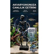 Alse Dans Eden Akvaryum İskeleti 2'li Set - Akvaryumunuzda ikili Eğlence! (Siyah)