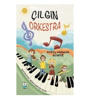 Çılgın Orkestra