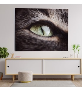 Yakın Çekim Kedi Gözü Temalı Kanvas Tablo