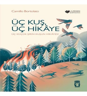 Üç Kuş, Üç Hikâye