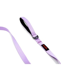 Tailpetz Match Leash Köpek Gezdirme Kayışı Lila Small
