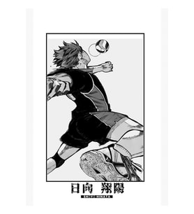 Hinata Shoyo-Haikyuu - Klasik Manga Panel Koleksiyonu Tablo Ahşap Poster Dekoratif