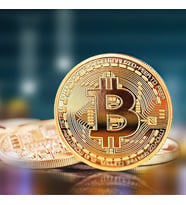 Bitcoin Madeni Hatıra Parası Madeni Bitcoin Hediye Sikke Para (5343)