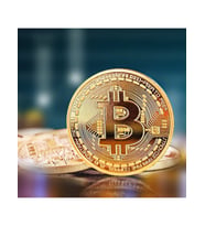Bitcoin Madeni Hatıra Parası Madeni Bitcoin Hediye Sikke Para (5343)