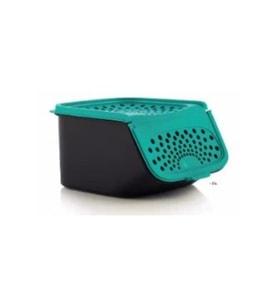 TUPPERWARE MİDİ SARIMSAK SAKLAMA KABI