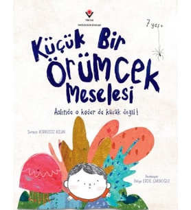Küçük Bir Örümcek Meselesi