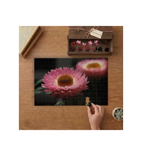 Suda Pembe Çiçek Tasarımı 240 parça Ahşap Puzzle Ahşap Kutuda MP00061