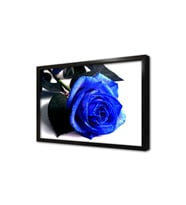 Beyaz Fonda Mavi Gül Çerçeveli Cam Tablo