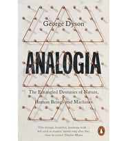 Analogia: The Entangled Destinies Of Nature, Human Beings And Machines
