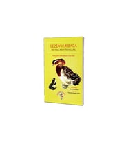 Eğiten Kitap Gezen Kurbağa