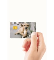 Ekmek Yiyen Köpek Tasarımlı Kredi Kartı Ve Akbil Kaplama Sticker