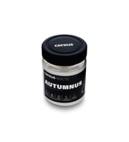 Cereus Nocte Autumnus Lime & Fesleğen Kokulu Soya Mum (210 Gr)