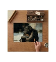 Şempanze Tasarımı 240 parça Ahşap Puzzle Ahşap Kutuda MP05326