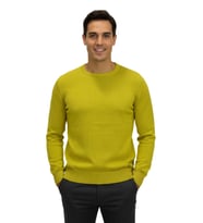 Erkek Spor Sıfır Yaka Regular Fit Kazak BGL-ST04953 (SAFRAN)