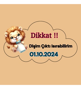 Ahşap üzeri Uv baskı Magnet 30 adet