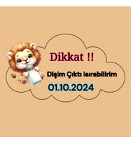 Ahşap üzeri Uv baskı Magnet 30 adet