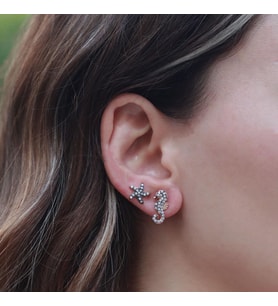 Deniz Atı Ve Yıldız Figürlü Zirkon Taşlı Rose Gold Kaplama Gümüş Küpe