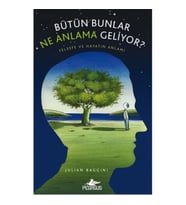 Bütün Bunlar Ne Anlama Geliyor?