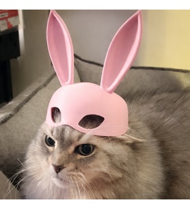 Tavşan Kulaklı Kedi Maskesi  3D Baskı Sevimli Pet Fotoğraf Aksesuarı