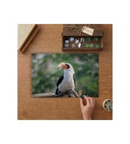 Gagalı Kuş - Doğa - Kuş - Manzara Tasarımı 240 parça Ahşap Puzzle Ahşap Kutuda MP01476