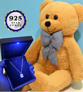Büyük Boy Kahve Peluş Ayıcık ve Gerçek 925 Ayar Gümüş Kolye Seti (Model 7)