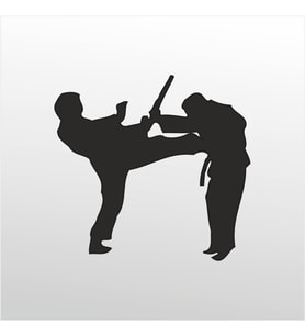 Folyo Sticker Taekwondo 90 cm uzunluk (Karışık)