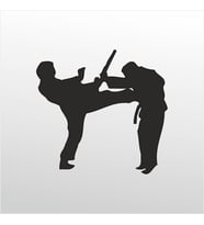 Folyo Sticker Taekwondo 90 cm uzunluk (Karışık)