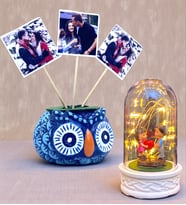 Sizlere Özel Hediye Seti 3 Fotoğraflı Baykuş Tasarımlı Saksı ve Led Işıklı Fanus (Model 8)