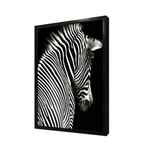 Yakın Çekim Zebra Çerçeveli Mdf Tablo