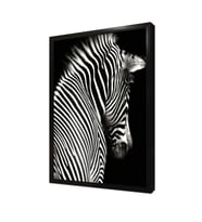 Yakın Çekim Zebra Çerçeveli Mdf Tablo