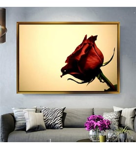 Altın Çerçeveli dekoratif tablo l127 (Gold)
