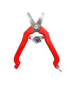 Ferrino GCN-02 Sıfır Kesim Dip Makası (Kırmızı)