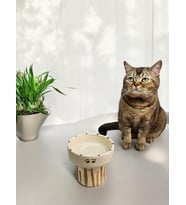 Kedi Ve Köpekler için Yüksek Seramik El Yapımı Mama Ve Su Kabı (SERAMİK EL YAPIMI)