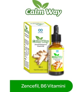 Armin Calm Way Zencefil Vitamin B6 Damla 30 ml