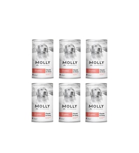 Molly Konserve Yetişkin Köpek Soslu Somonlu 400 Gr (6 Adet) (Beyaz)