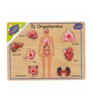 Playwood Ahşap Tutmalı Eğitici Puzzle İç Organlarımız ONY167