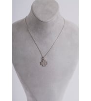 Zirkon Taşlı Yoncalı Gümüş Kolye Silver 925 Ayar Gümüş