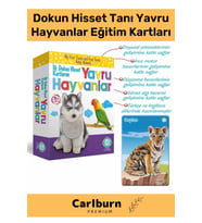 Özel Üretim Görsel Algı Eğlenceli Öğrenme Gelişim Dokun Hisset Tanı Yavru Hayvanlar Eğitim Kartları
