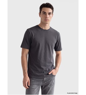 LCWAIKIKI Classic Antrasit Regular Fit İnce Kumaş Tişört /03