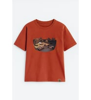 Kadın Bisiklet Yaka %100 Pamuk Blok Baskılı Kısa Kollu T-Shirt