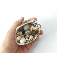 Magnet Deniz Kabuklu Buzdolabı Süsü Nazar Boncuklu Deniz Plaj Magnet