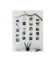 Dal fotoğraflık Four (103)