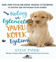 Kolay ve Eğlenceli Yavru Köpek Eğitimi