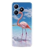C53 Kılıf Boutique Baskılı Resimli Okaynus ve Flamingo Pcode -093