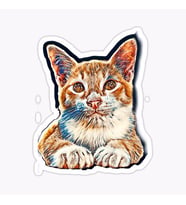 Araba Leptop için Kedi Oto Sticker Yapıştırması Etiket  17CM z1