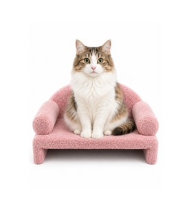 Rahat Pet Peluş Kedi Koltuğu 45x33x25 cm Pembe, Evcil Hayvanlar İçin Konfor
