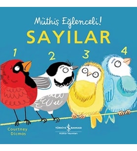 Sayılar – Müthiş Eğlenceli! (Ciltli)